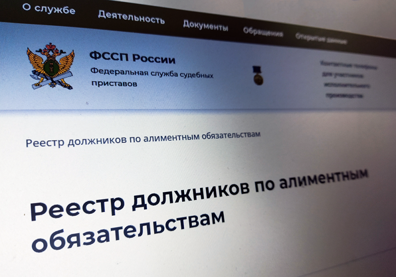 Введен реестр должников по алиментам.