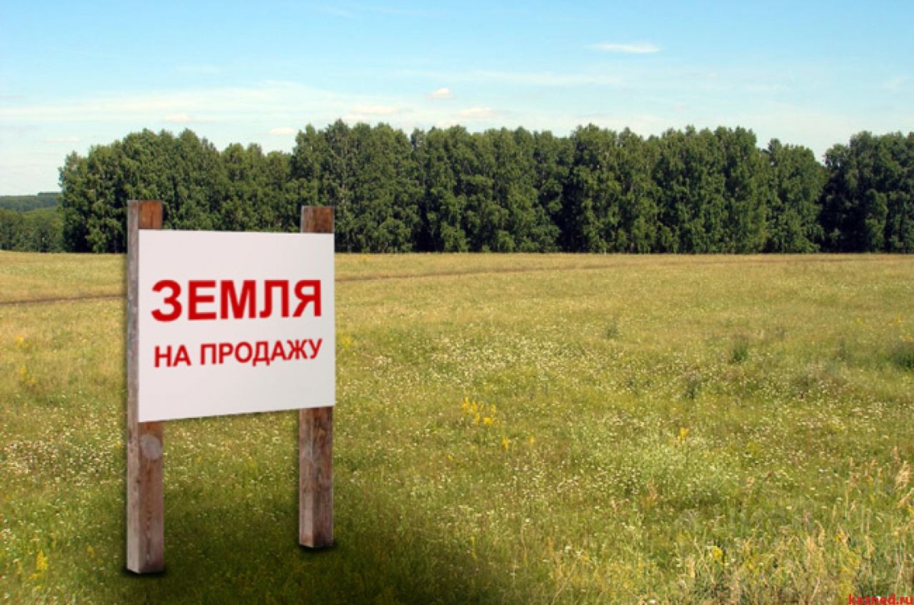 Продажа земельных долей в праве общей долевой собственности на земельный участок из земель сельскохозяйственного назначения.