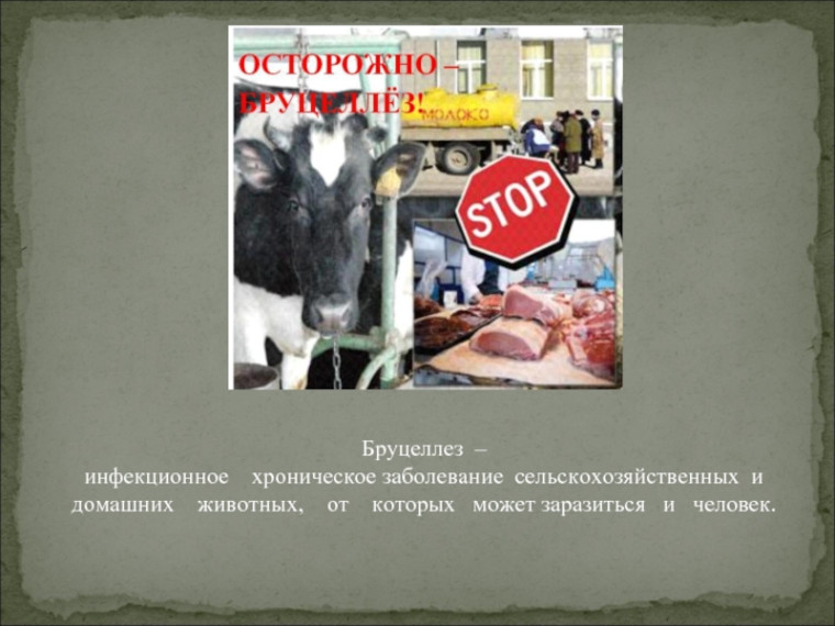 Администрация Ленинского сельского поселения совместно с Управлением Россельхознадзора по Кировской области информируют граждан!. Администрация Ленинского сельского поселения совместно с Управлением Россельхознадзора по Кировской области информируют граждан!.