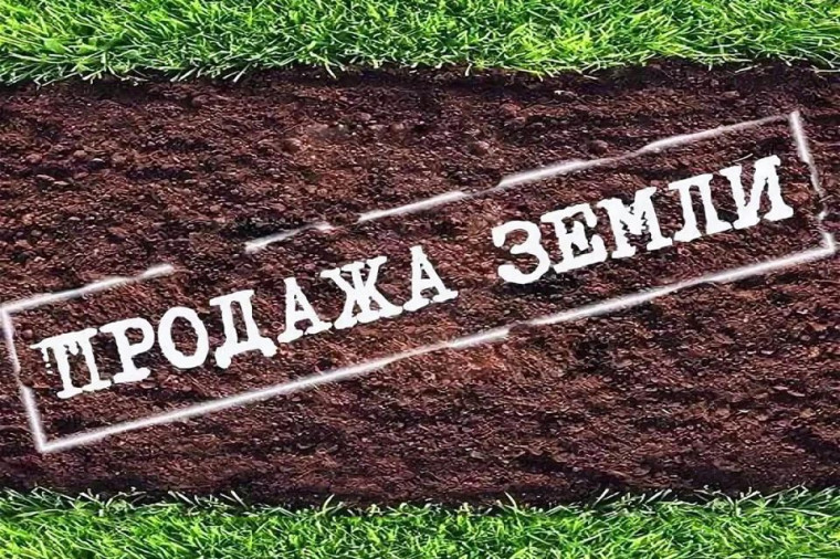 ИНФОРМАЦИЯ. ИНФОРМАЦИЯ.